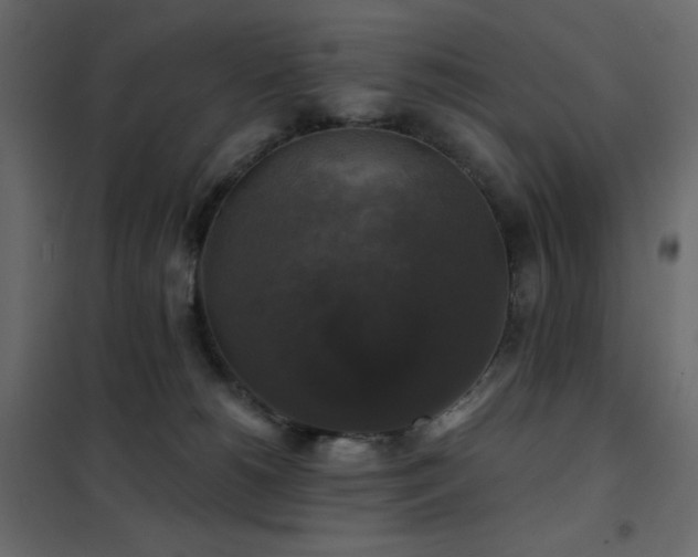 X0000102540180200808081530