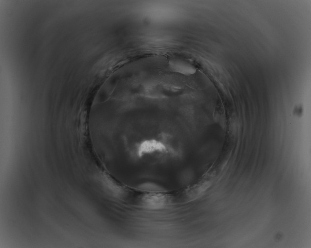 X0000102540181200808081530