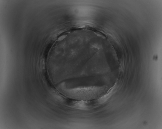 X0000102540182200808081530
