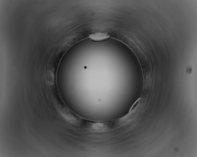 X0000102540183200808081530