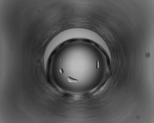 X0000102540184200808081530