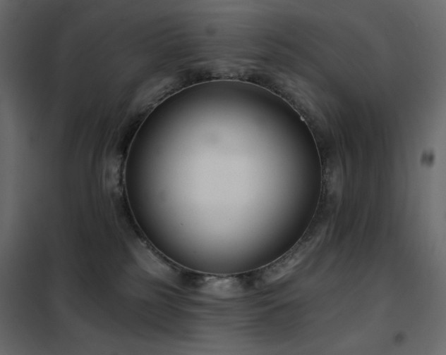 X0000102540185200808081530