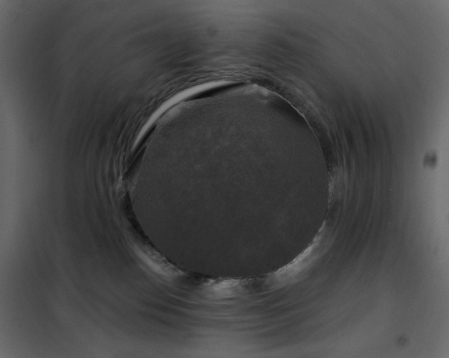 X0000102540186200808081530