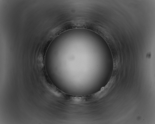 X0000102540187200808081530