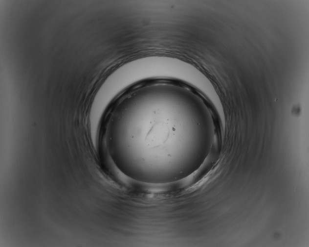 X0000102540188200808081530