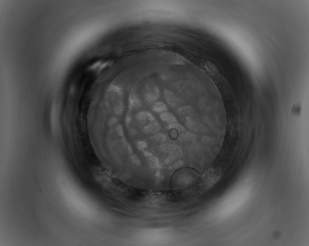 X0000102540189200808081530