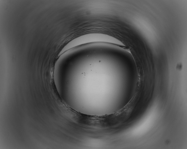X0000102540190200808081530