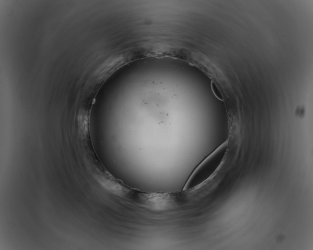 X0000102540191200808081530