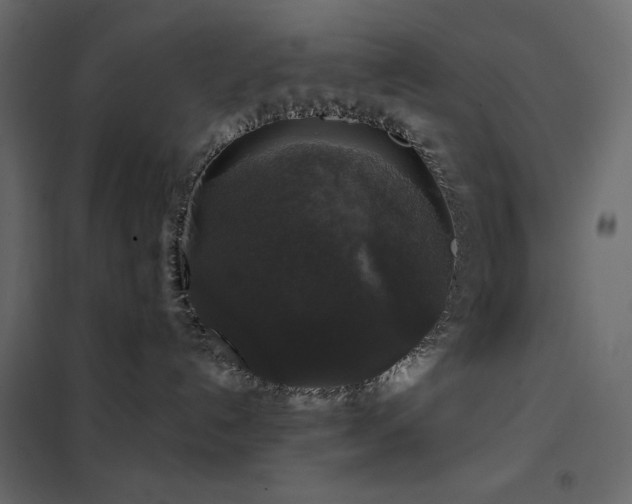 X0000102540192200808081530