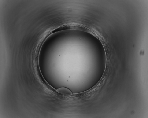 X0000102540193200808081529