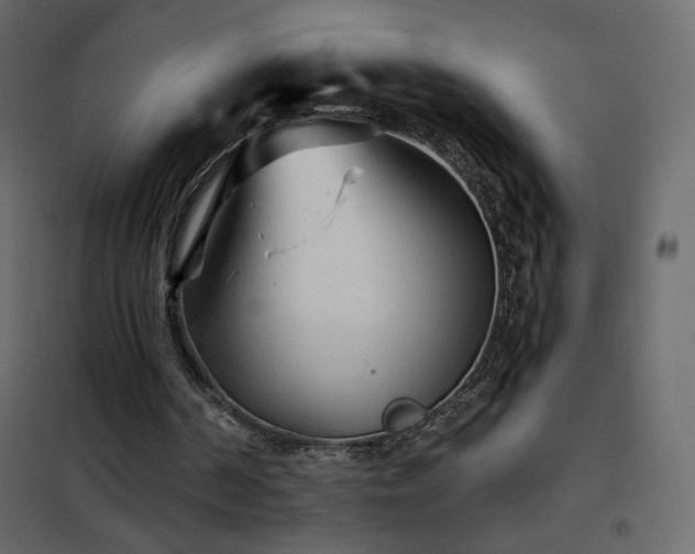 X0000102540194200808081529