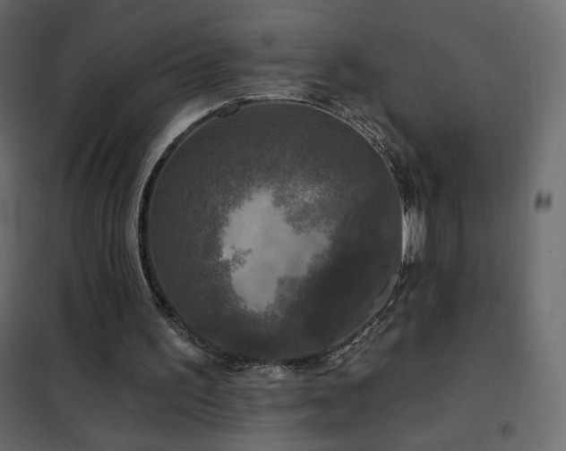 X0000102540195200808081529