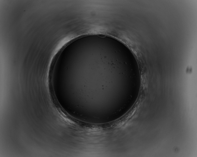X0000102540196200808081529