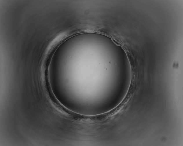 X0000102540197200808081529