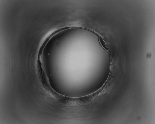 X0000102540200200808081529