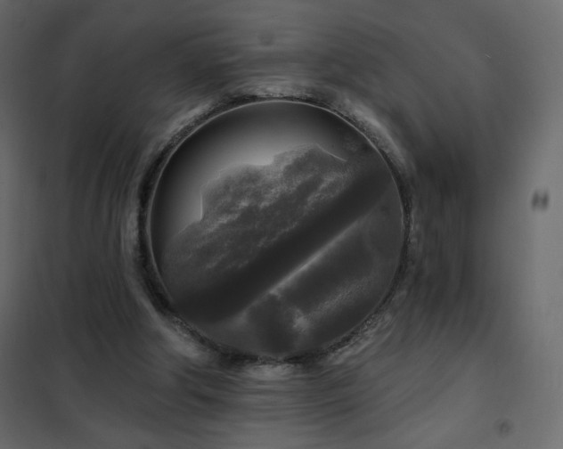 X0000102540202200808081529