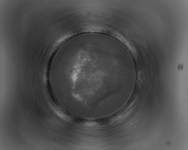 X0000102540203200808081529