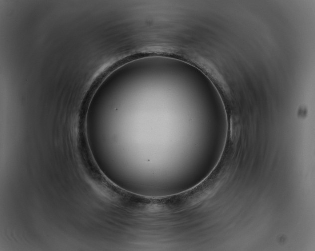 X0000102540204200808081529
