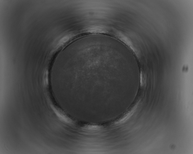 X0000102540205200808081529