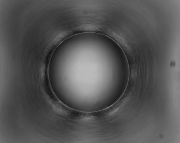 X0000102540206200808081529