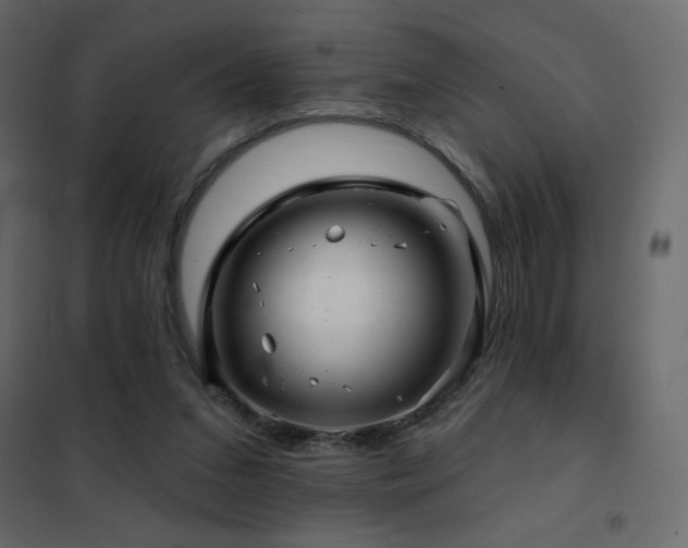 X0000102540207200808081529