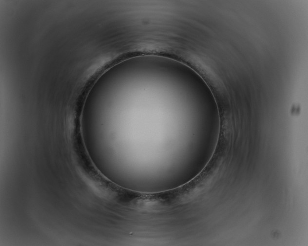 X0000102540208200808081529