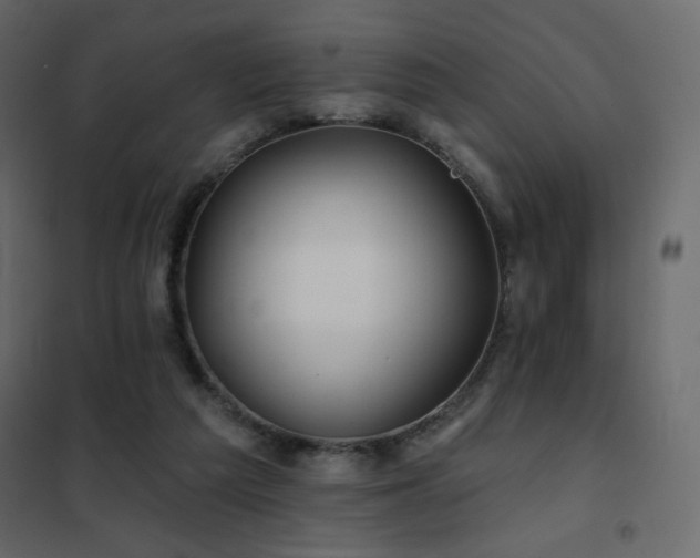 X0000102540209200808081529