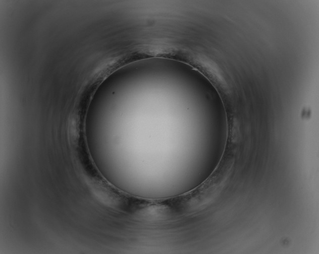 X0000102540210200808081529