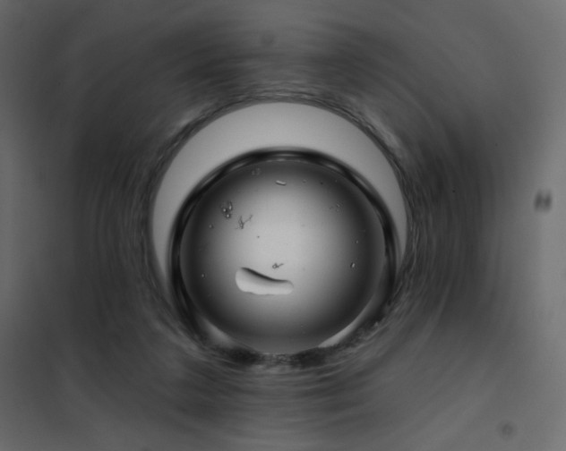 X0000102540211200808081529