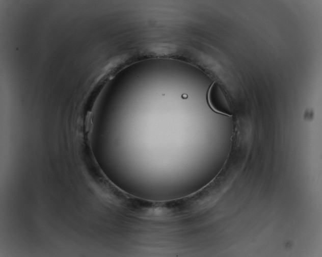 X0000102540212200808081529