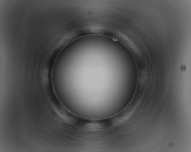 X0000102540213200808081529