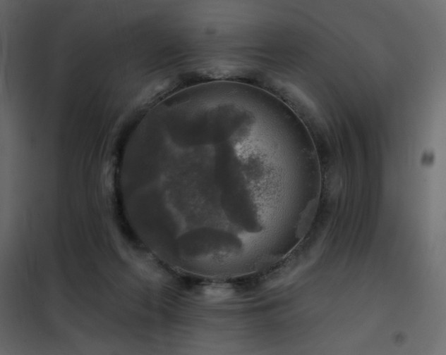 X0000102540214200808081529