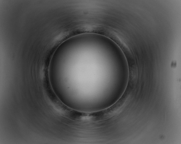 X0000102540216200808081529