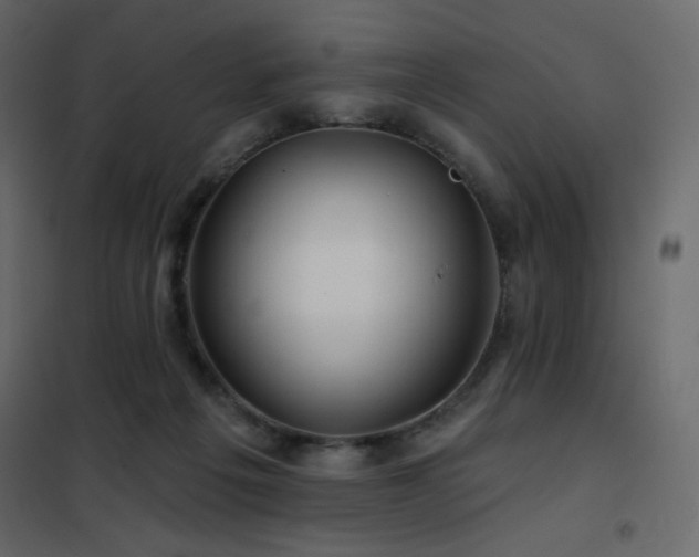 X0000102540217200808081529
