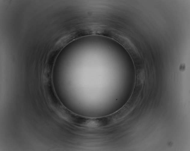 X0000102540218200808081529