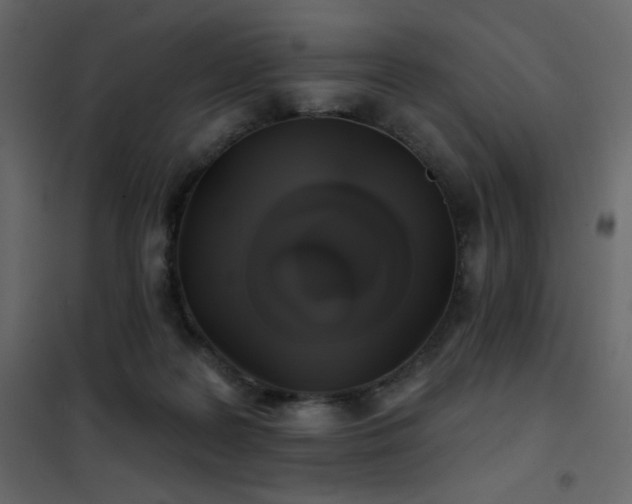 X0000102540219200808081529