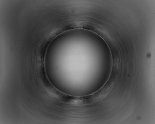 X0000102540220200808081529