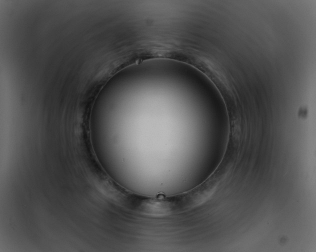 X0000102540221200808081529