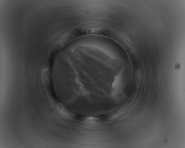 X0000102540222200808081529