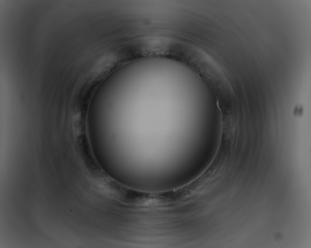 X0000102540224200808081529