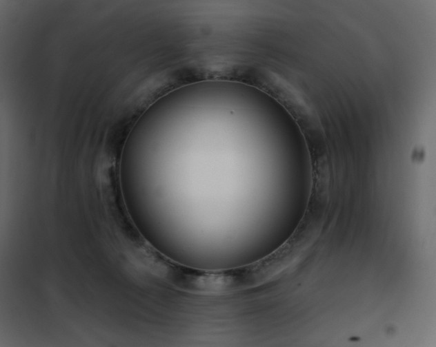 X0000102540225200808081529