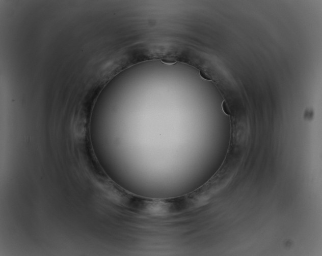 X0000102540226200808081529