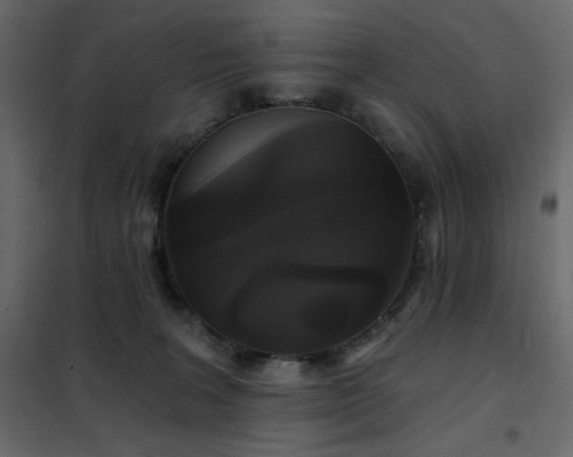 X0000102540227200808081529