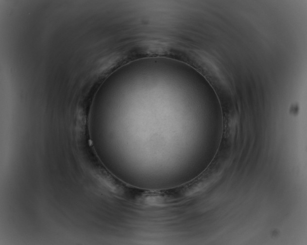 X0000102540228200808081529