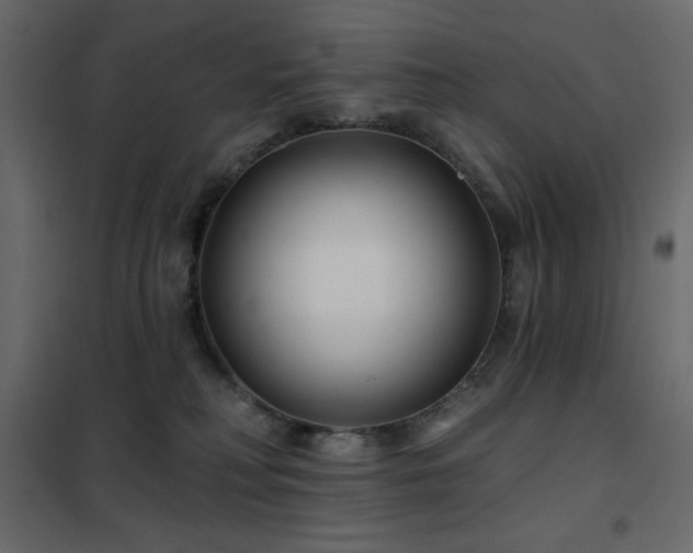 X0000102540230200808081529