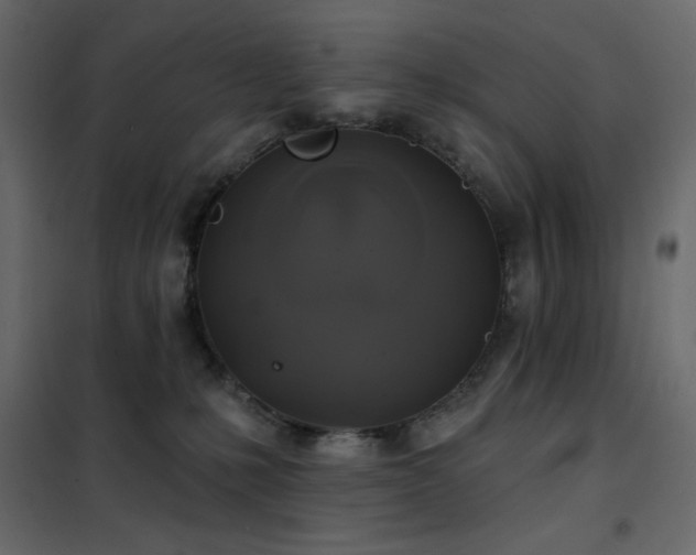 X0000102540231200808081529