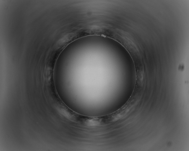 X0000102540232200808081529