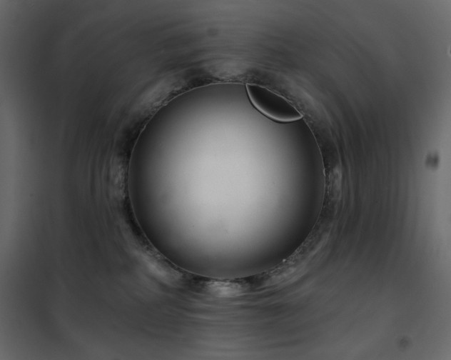 X0000102540234200808081529