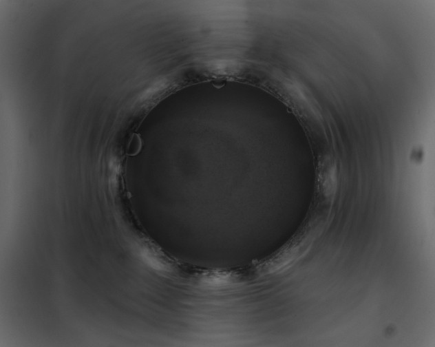 X0000102540235200808081529