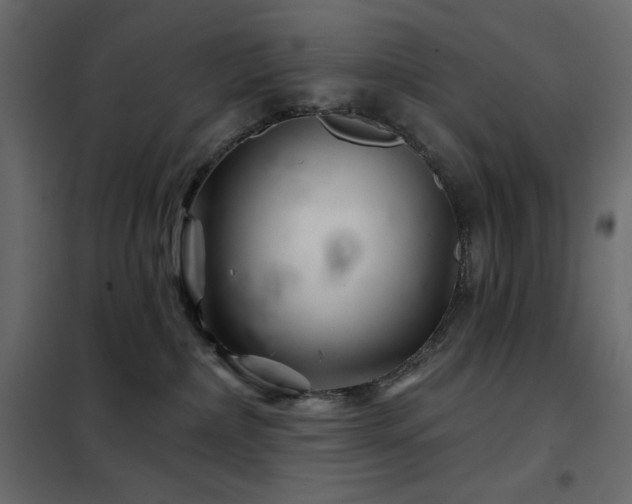 X0000102540236200808081529